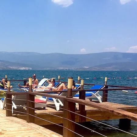 מלון Hidden Garden