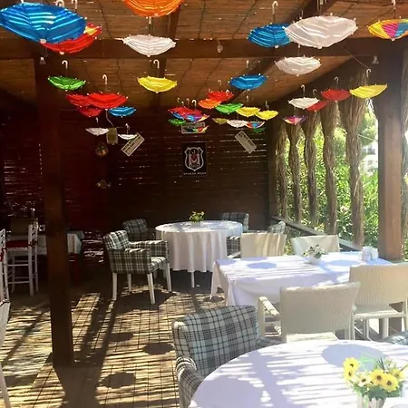 Hidden Garden מלון